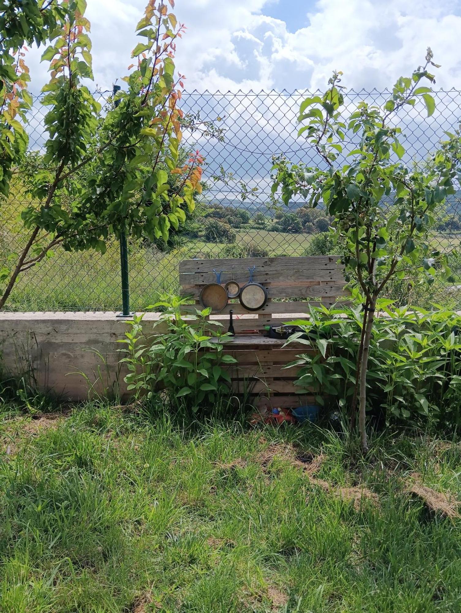 La Caseta Viva Apartamento Olvan